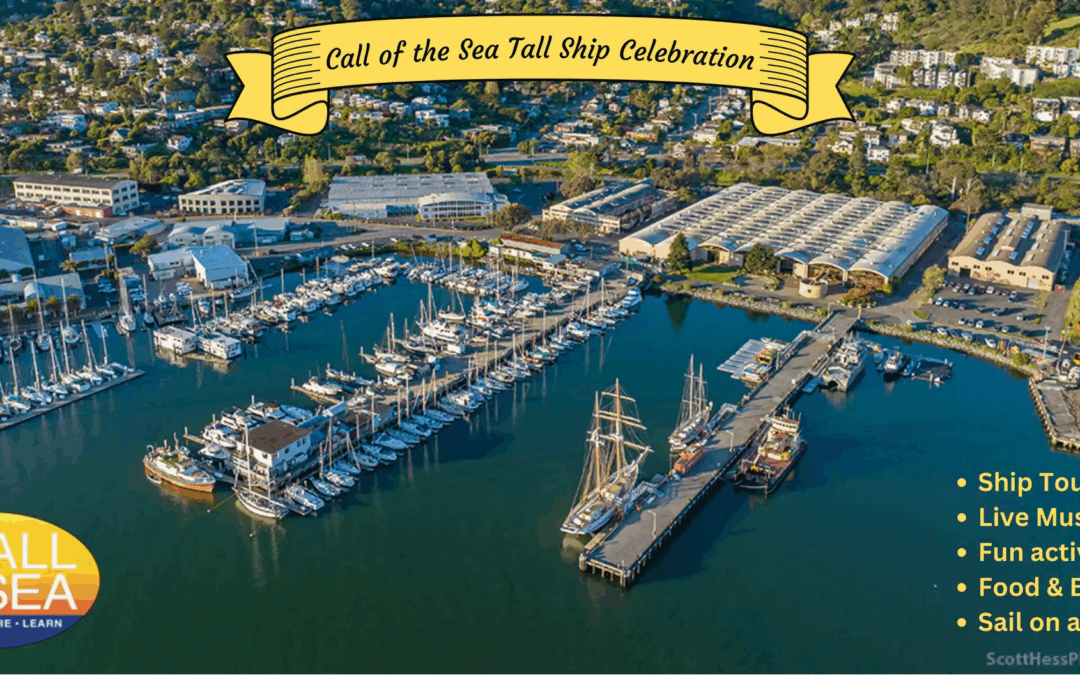 Call of the Sea in Sausalito