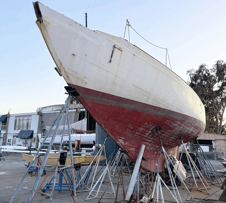 Cree Partridge – Evening Star