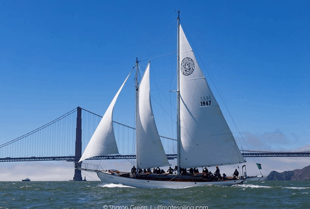 Beau Vrolyk – Mayan