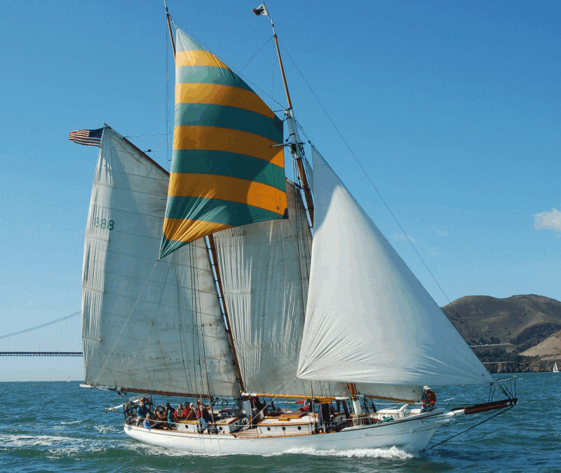 Terry Klaus – Brigadoon